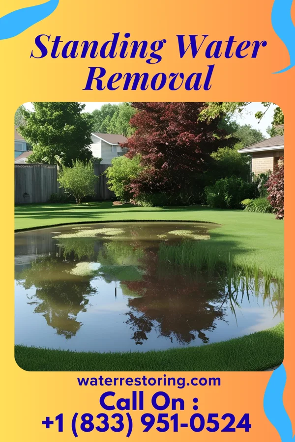 Standing Water Removal in Itasca, TX